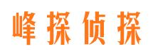 台儿庄市婚外情调查